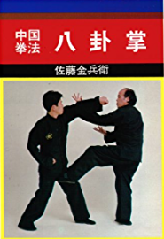 「中国拳法　八卦掌」の表紙