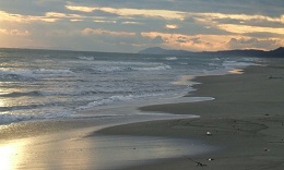 片浜十三里