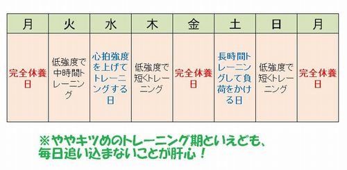 高強度トレーニング期の週間練習メニューの図
