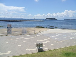 大会のスイム会場