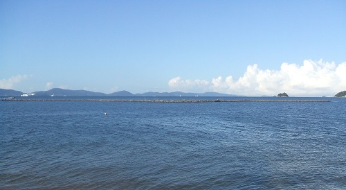 練習場所たる海の画像