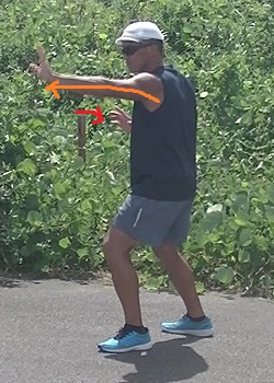 抱式の分解写真5